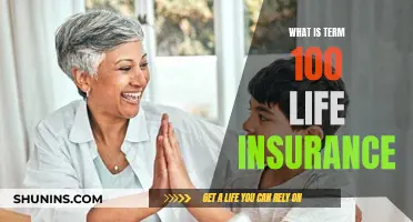 Understanding Term 100 Life Insurance: A Comprehensive Guide