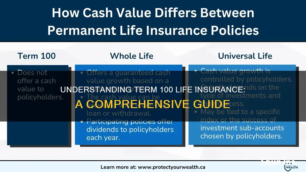 what is term 100 life insurance