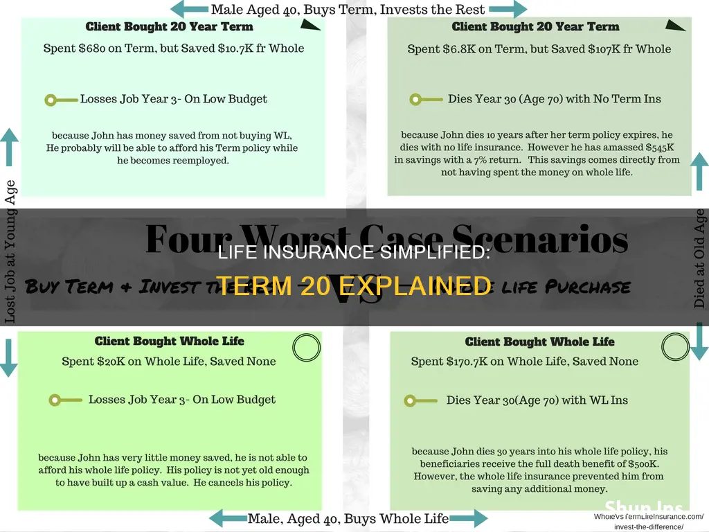 what is term 20 life insurance