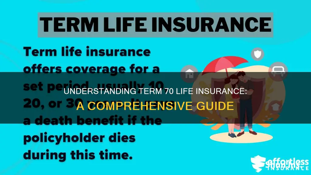 what is term 70 life insurance