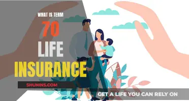 Life Insurance Simplified: Term 70 Explained