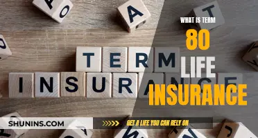 Life Insurance 101: Understanding Term 80 Policies