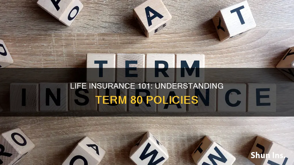 what is term 80 life insurance