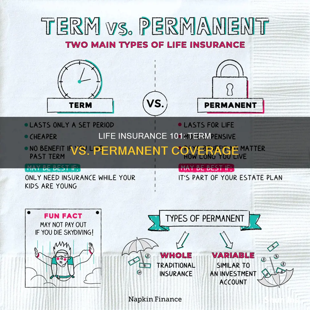 what is term and permanent life insurance