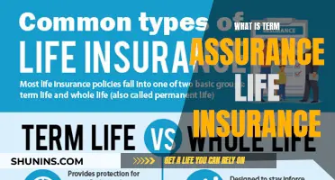 Understanding Term Assurance Life Insurance: A Comprehensive Guide