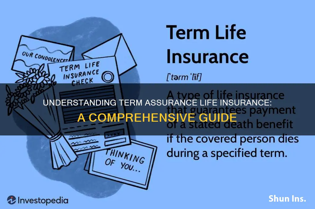 what is term assurance life insurance