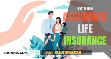 Term Assurance Life Insurance: What You Need to Know