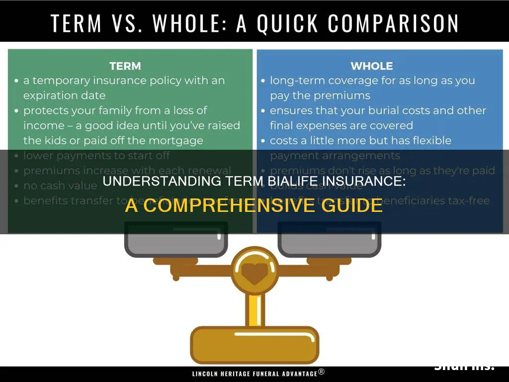 what is term bia life insurance