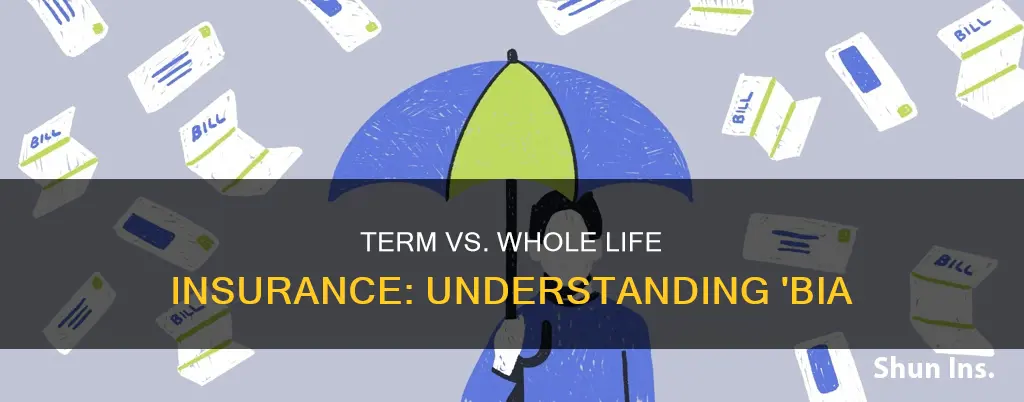 what is term bia life insurance