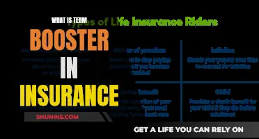 Understanding the Term Booster: Unlocking the Full Potential of Your Insurance Policy