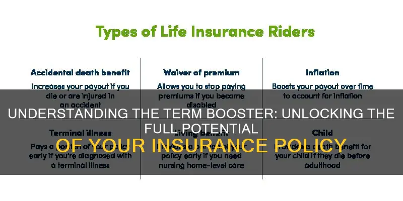 what is term booster in insurance