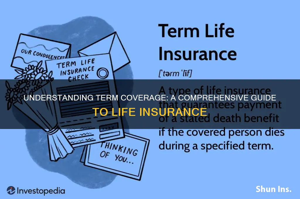 what is term converage life insurance