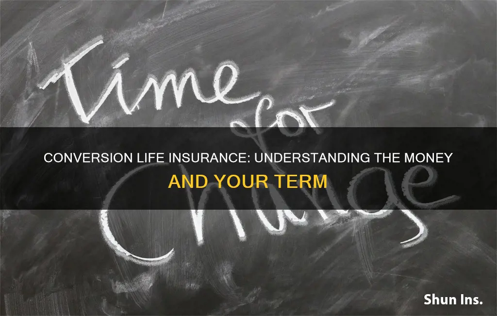 what is term conversion life insurance life and money