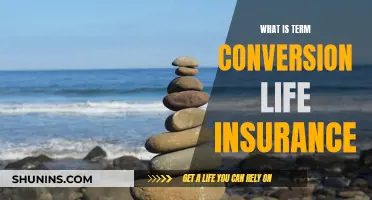 Term Conversion Life Insurance: Understanding the Basics