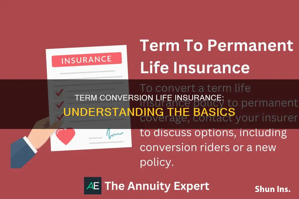 what is term conversion life insurance