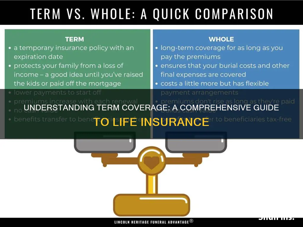 what is term coverage life insurance