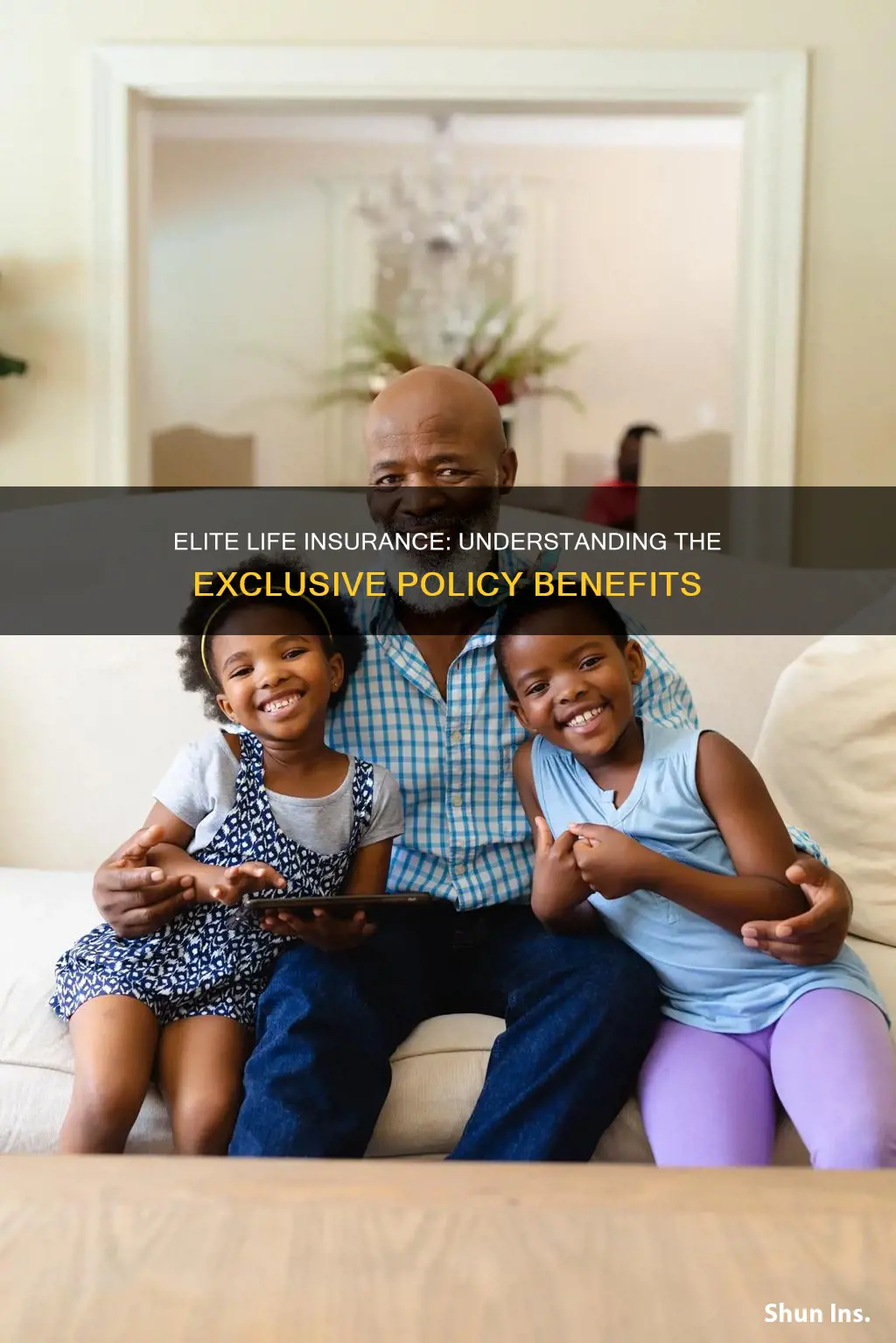 what is term elite life insurance