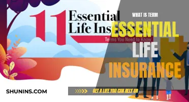 Understanding Essential Life Insurance: A Comprehensive Guide