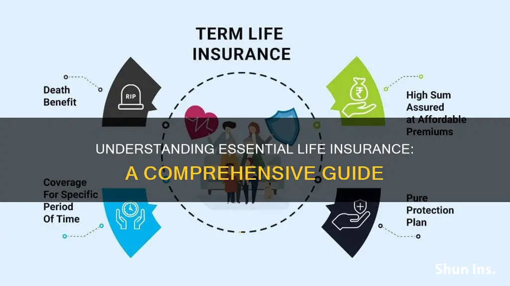 what is term essential life insurance