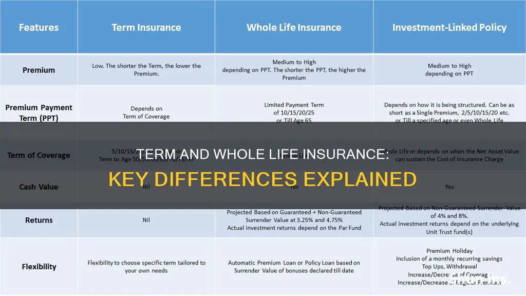 what is term insurance and whole life insurance