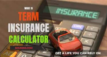 Understanding the Term Insurance Calculator: A Guide to Unlocking Its Potential