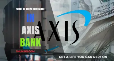 Term Insurance: Axis Bank's Offerings Explained