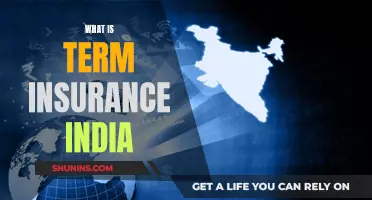 Understanding Term Insurance: A Comprehensive Guide for Indians