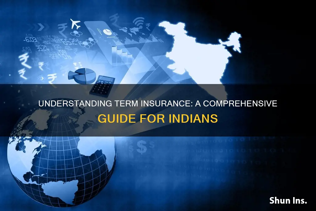 what is term insurance india