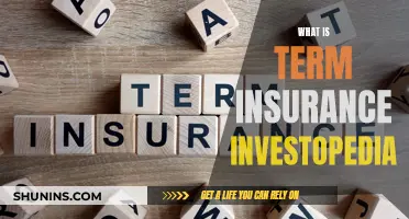 Understanding Term Insurance: A Comprehensive Guide