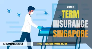 Understanding Term Insurance in Singapore: A Guide to This Crucial Protection