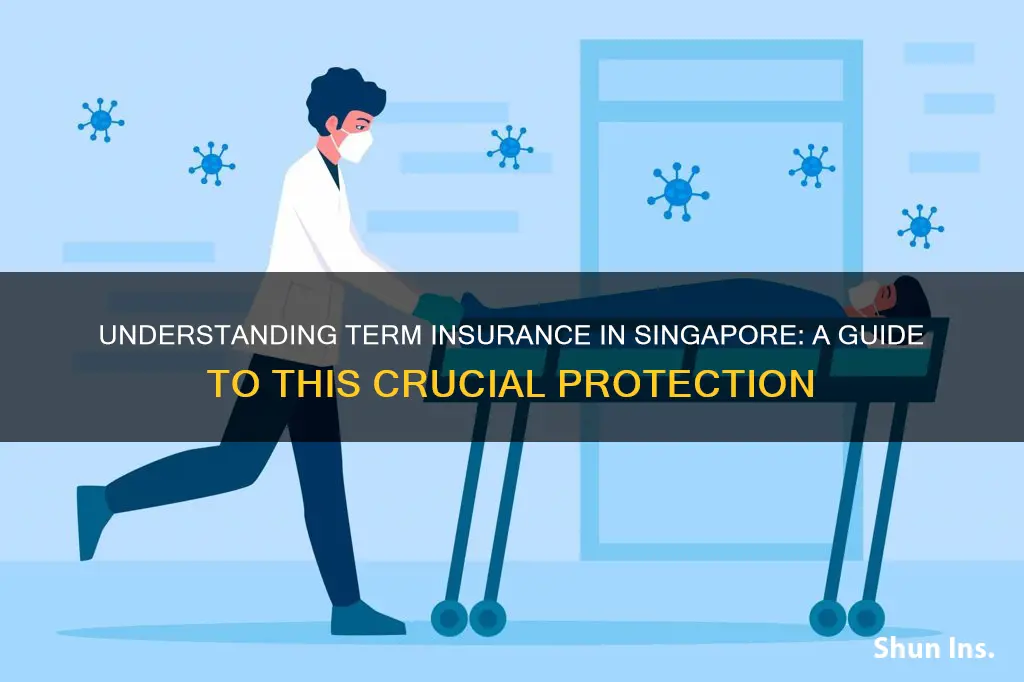 what is term insurance singapore