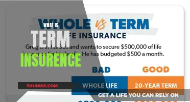 Understanding Term Insurance: A Guide to Unraveling This Crucial Aspect of Financial Planning