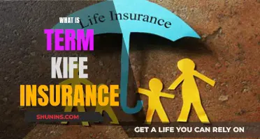 Understanding Term Life Insurance: A Guide to This Temporary Safety Net