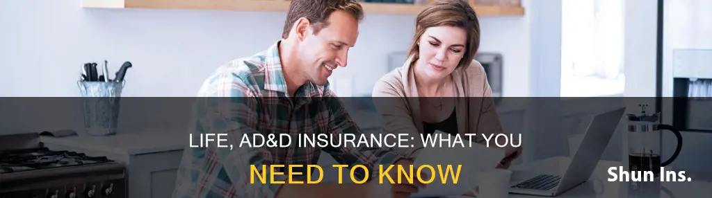 what is term life ad&d insurance