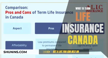 Understanding Term Life Insurance in Canada: A Comprehensive Guide