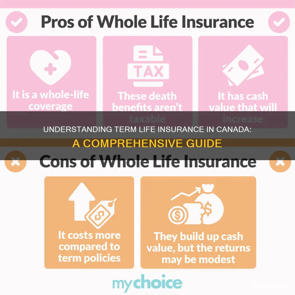 what is term life insurance canada