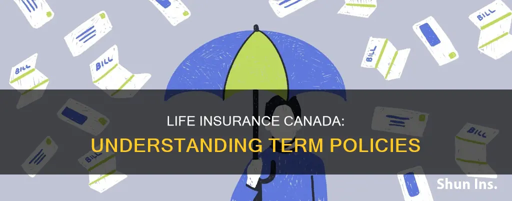 what is term life insurance canada