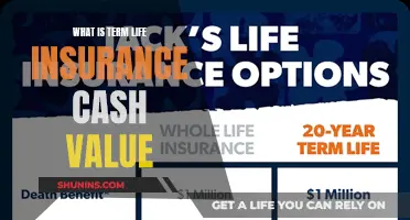 Unlocking Term Life Insurance's Hidden Cash Value Potential