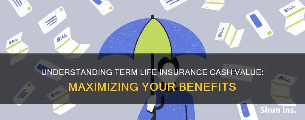 what is term life insurance cash value