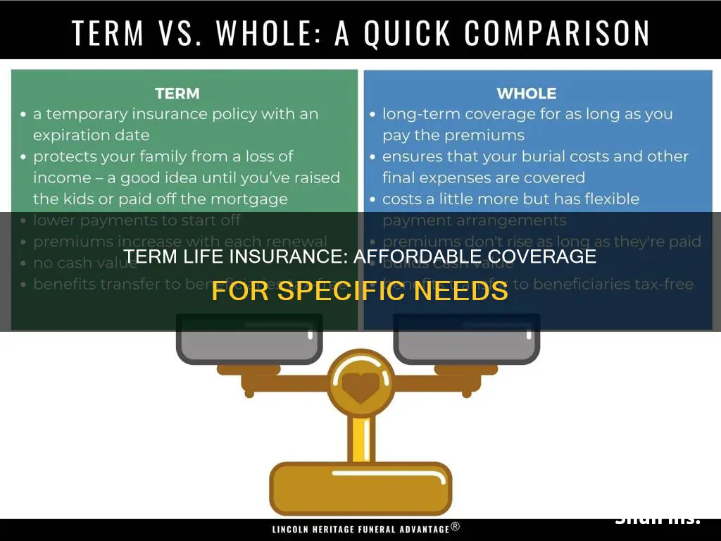 what is term life insurance good for