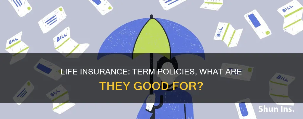 what is term life insurance good for