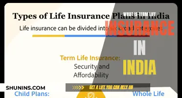 Understanding Term Life Insurance: A Comprehensive Guide for Indian Policyholders