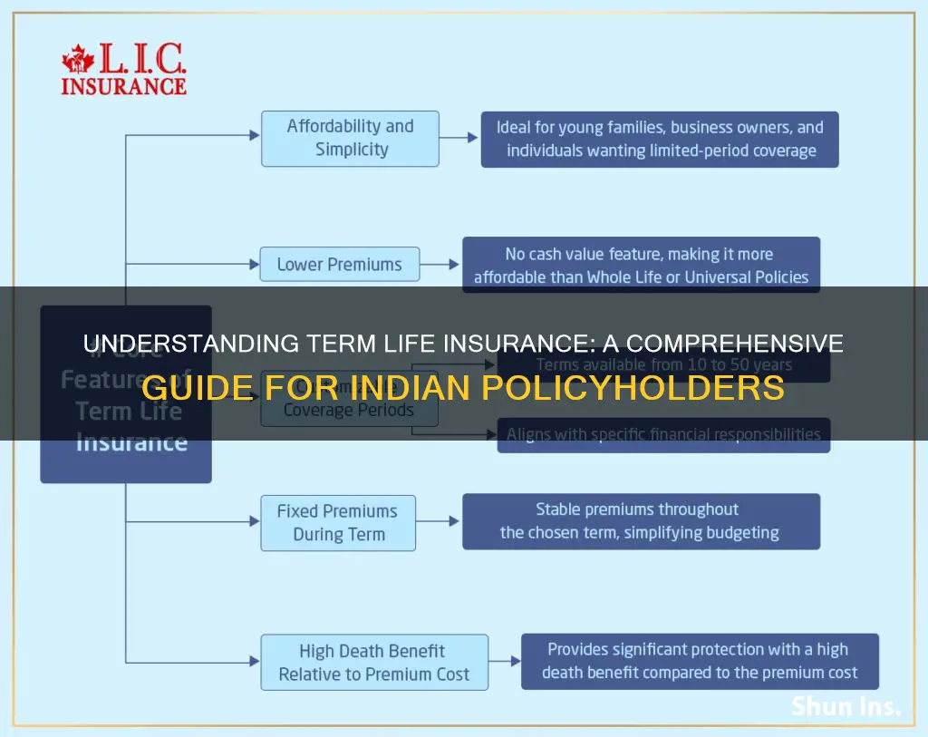 what is term life insurance in india