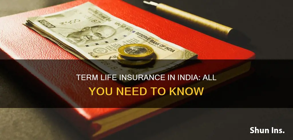 what is term life insurance in india