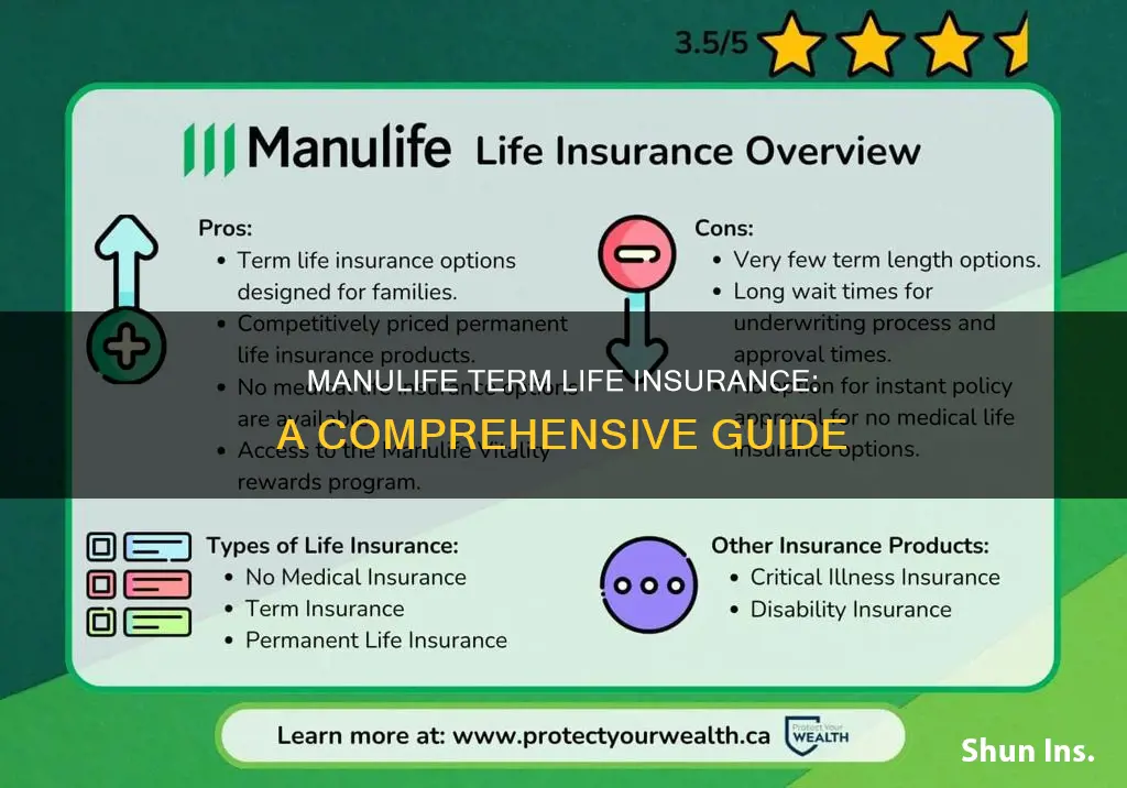 what is term life insurance manulife