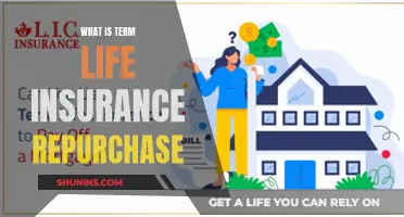 Understanding Term Life Insurance Repurchase: A Comprehensive Guide