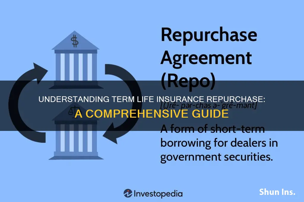 what is term life insurance repurchase