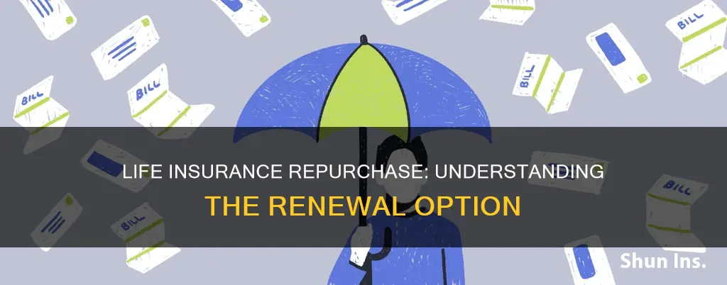 what is term life insurance repurchase