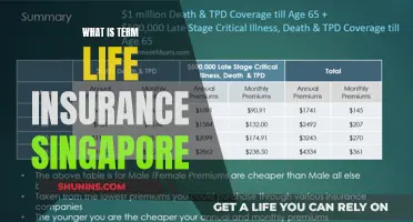 Term Life Insurance: A Comprehensive Guide for Singapore Residents