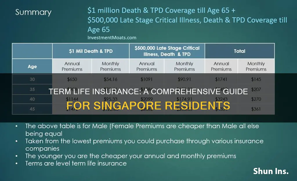 what is term life insurance singapore